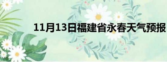 11月13日福建省永春天气预报