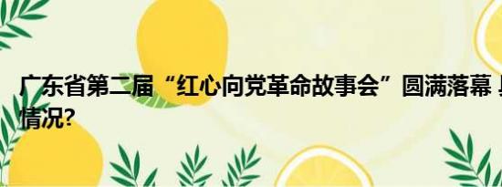广东省第二届“红心向党革命故事会”圆满落幕 具体是什么情况?